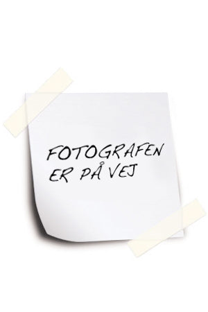KUNSTPLAKAT - A Mother's Care